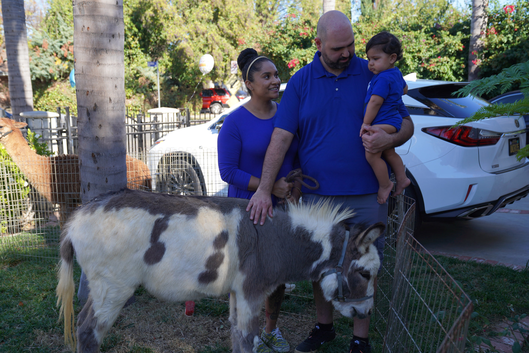 Plan A Petting Zoo Birthday Party With 4 Fun And Easy Tips Los Angeles Videographers LLC