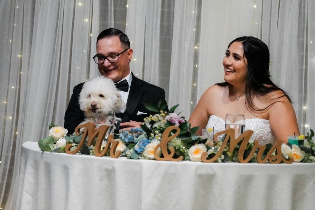 Couples Hire Wedding Videographers