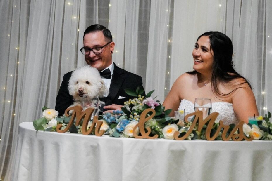 Couples Hire Wedding Videographers